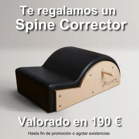 regalo-spine